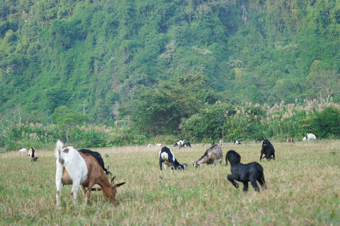 2 Days 1 Night Adventure: Cat Ba National Park, Lan Ha Bay From Cat Ba Island: 2 Days 1 Night Adventure