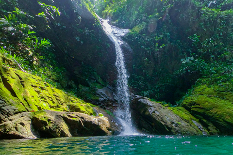 Embrace the Beauty of Alto Shambillo