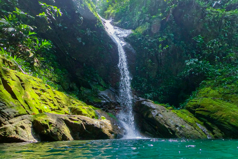 Embrace the Beauty of Alto Shambillo