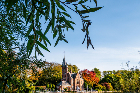 From Brussels: Day trip to Damme, Bruges and Leuven Tour in Spanish with Boat