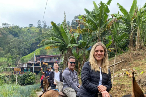 Tour Cafetero-Panelero + Cabalgata - Medellín