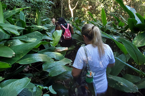 Explore Búzios: Stunning Views on the Emerências Trail