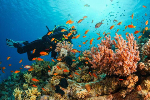 Fethiye: Discover the Underwater World Experience