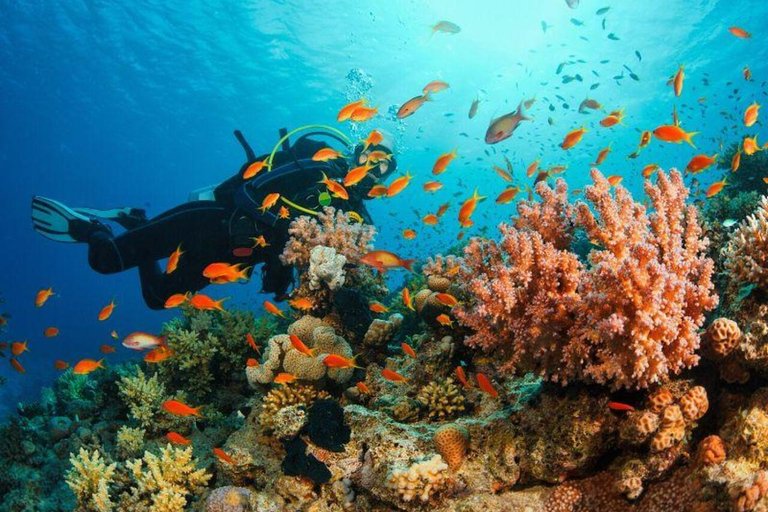 Fethiye: Discover the Underwater World Experience