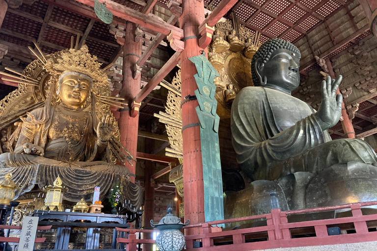 Nara Private Tour from Osaka: Hidden Gems & Ancient Stories