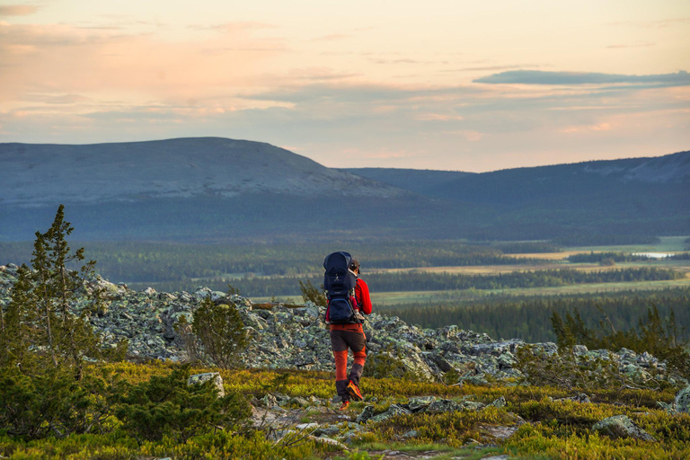 Arctic Wilderness Hike from Rovaniemi (Midnight sun/Sunset)