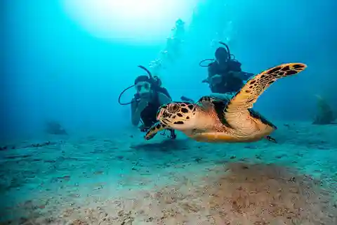 Las Catalinas: Discover Scuba Diving at Flamingo & Tamarindo