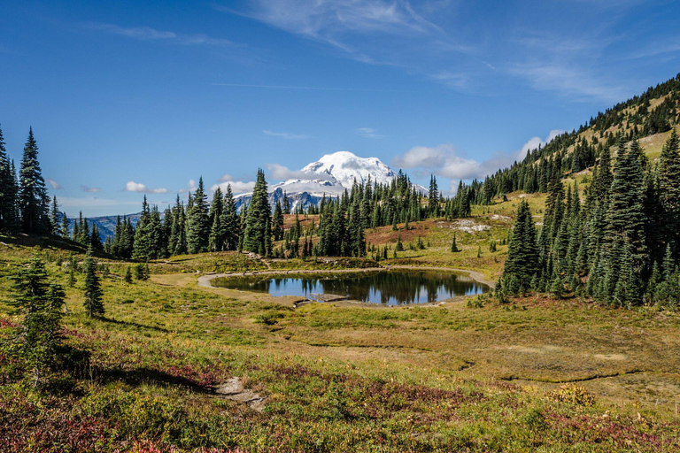 Private Mt Rainier National Park Day Tour Glacier Waterfalls