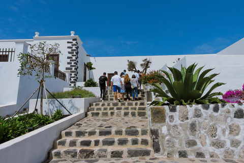 Lanzarote: Vineyard Tour & Wine Tasting with Cheese