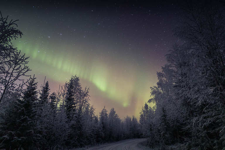 Rovaniemi: Northern LIghts with Sauna, Ice swimming & Dinner Standard Option