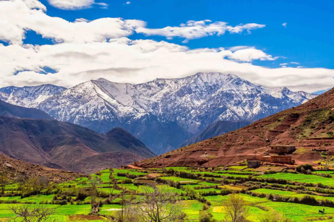 Marraquexe: Cascatas de Ourika, Montanhas Atlas, Guia + AlmoçoMarraquexe: Vale de Ourika com almoço + guia (recomendado)