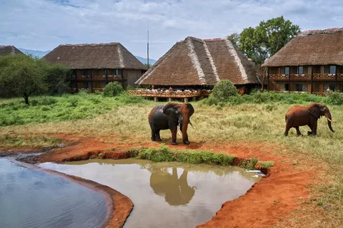 2 Days Ngutuni Sanctuary, Tsavo East Private Safari