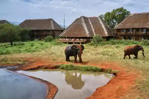 Safari Privado de 2 Días al Santuario de Ngutuni, Tsavo Este