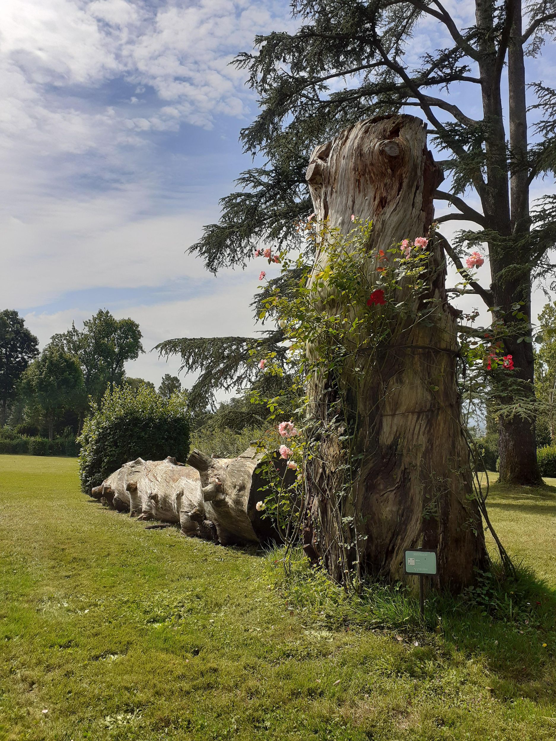 Führung durch den Park der Villa Reale di Marlia