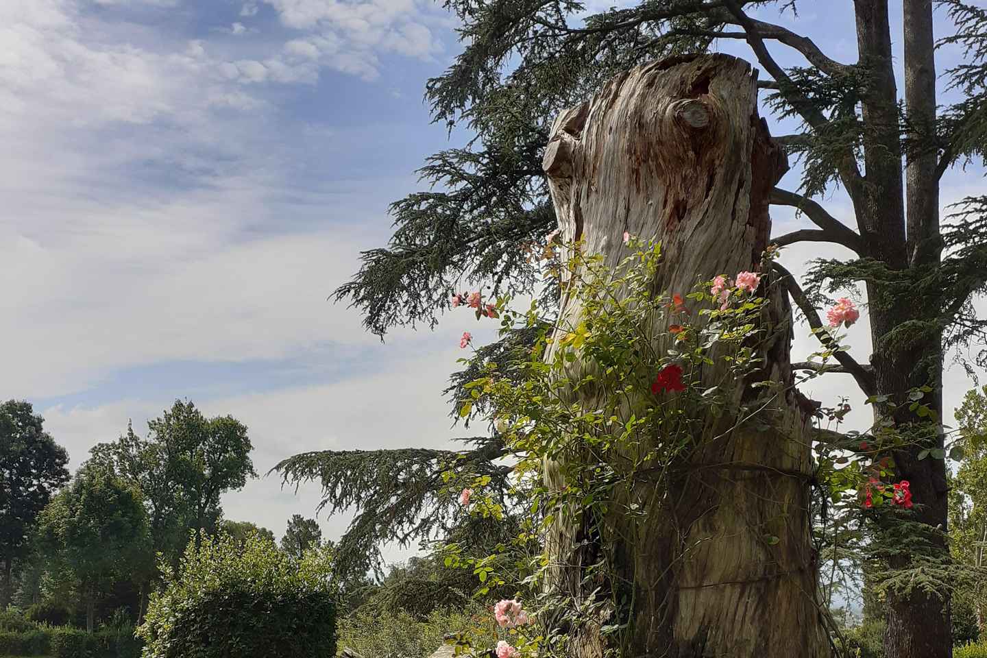 Visita guidata al parco di Villa Reale di Marlia