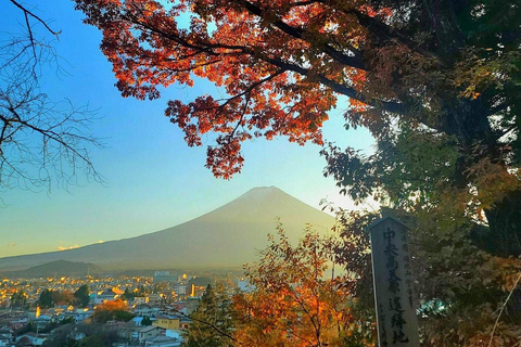 Tokyo: Mt. Fuji Customizable & Private Tour with chauffeur Alphard Minivan