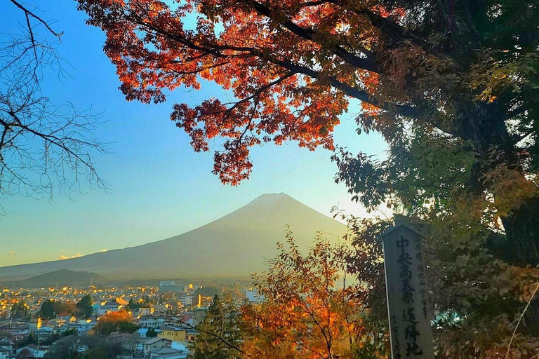 Tokyo: Mt. Fuji Customizable & Private Tour with chauffeur Alphard Minivan