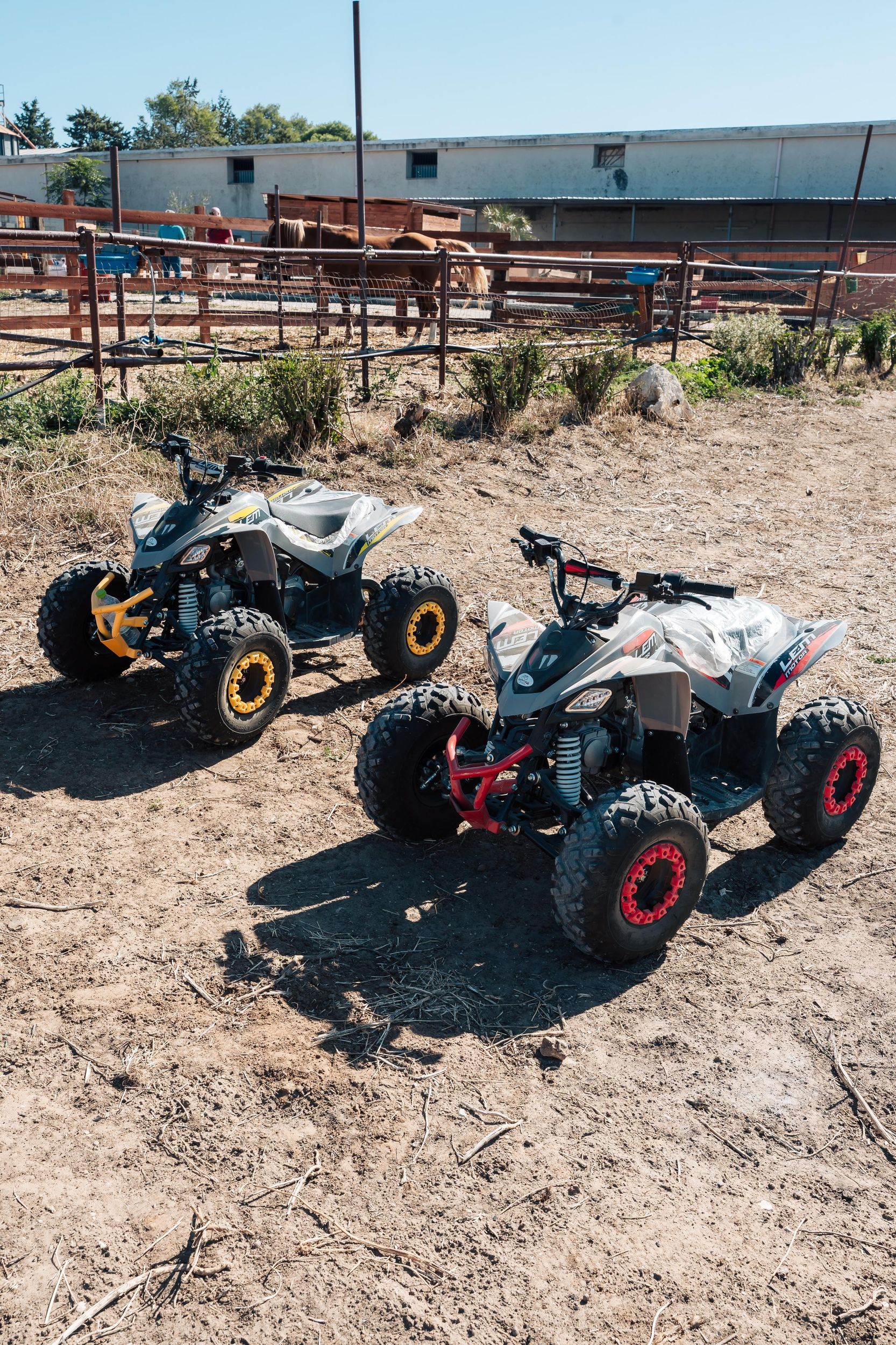 Gravina in Apulien: Farm-Tour & Quad-Fahrt auf der Strecke