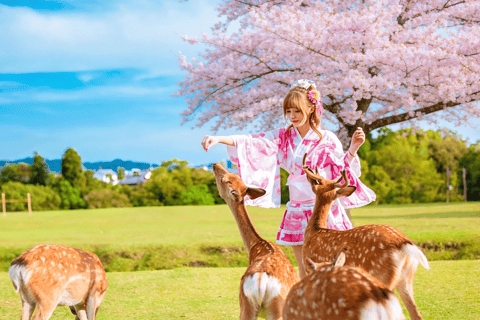 Kyoto & Nara: Guided Walking Tour with Deer Encounter