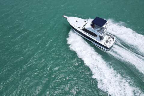 Mauritius: Big Game Fishing Trip from Grand Baie Full-Day Big Game Fishing Trip