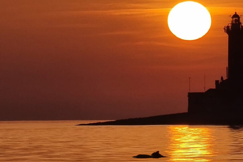 Medulin: 3h Ultra ALL-INCLUSIVE Sunset Dolphin Boat trip 3hours Dolphin Sunset watching with drinks+dinner sandraboat