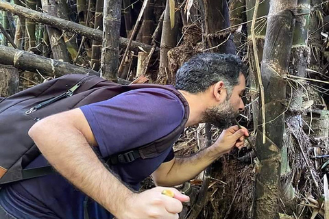 1 Day Trekking in Chiang Rai forest (walk only)