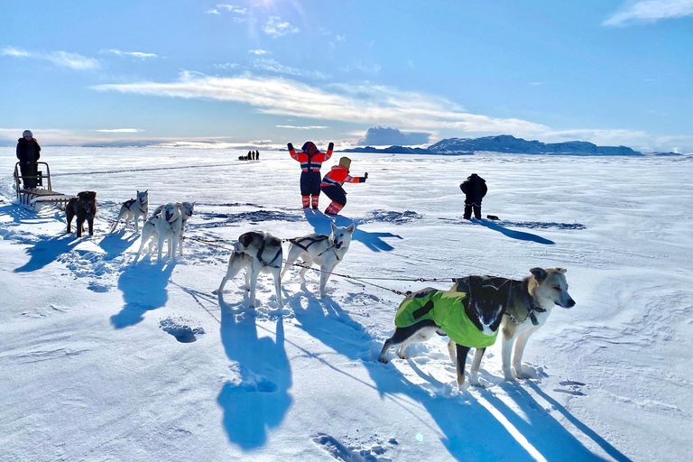 Island-Husky-Tour – Fahrt- und Kuschel-ErlebnisIsland: Husky-Schlittenfahrt und Kuschelerlebnis