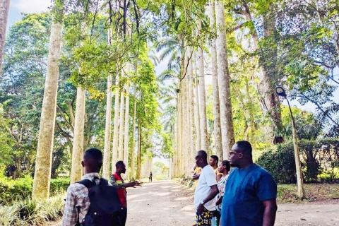Całodniowa wycieczka po ogrodach botanicznych Aburi