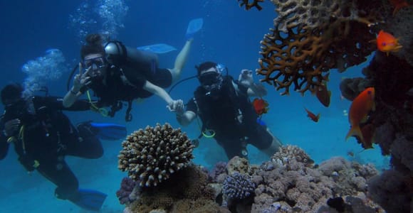 Bali Day Trip: Try Diving at Liberty Shipwreck & Kayak Trip