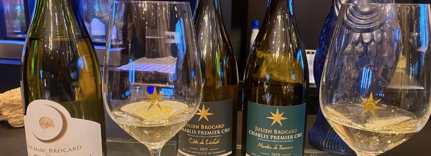 Excursion privée dans les vins rouges et blancs de Bourgogne au départ de Paris