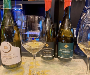 Private Exquisite Red & White Burgundy Wines Trip from Paris