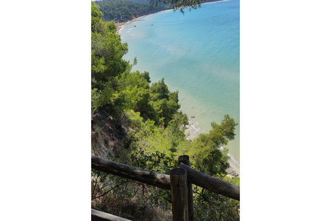 Thessaloniki: Halkidiki Beach-Hopping with Swimming