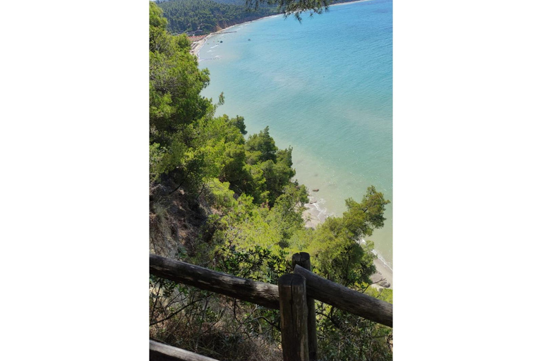 Thessaloniki: Halkidiki Beach-Hopping with Swimming