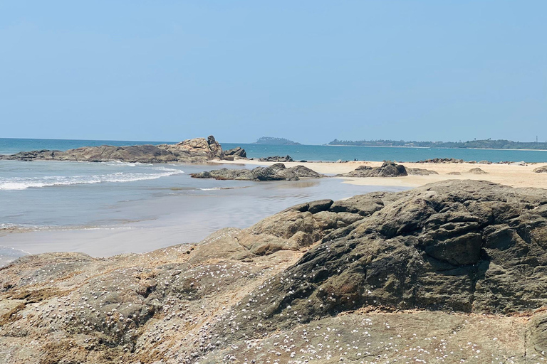 Happy Tour in Sri Lanka