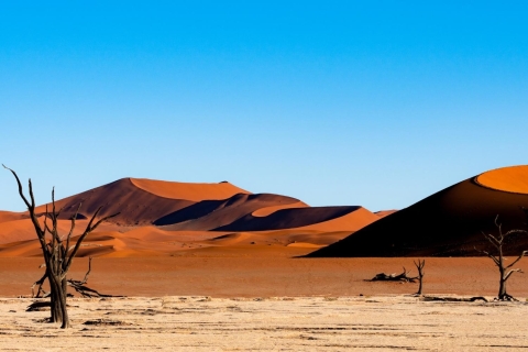7-daagse rondreis door Namibië in het middensegment