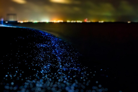 Krabi: Railay Phra Nang & Diamond Cave Sunset Plankton Tour Join Tour