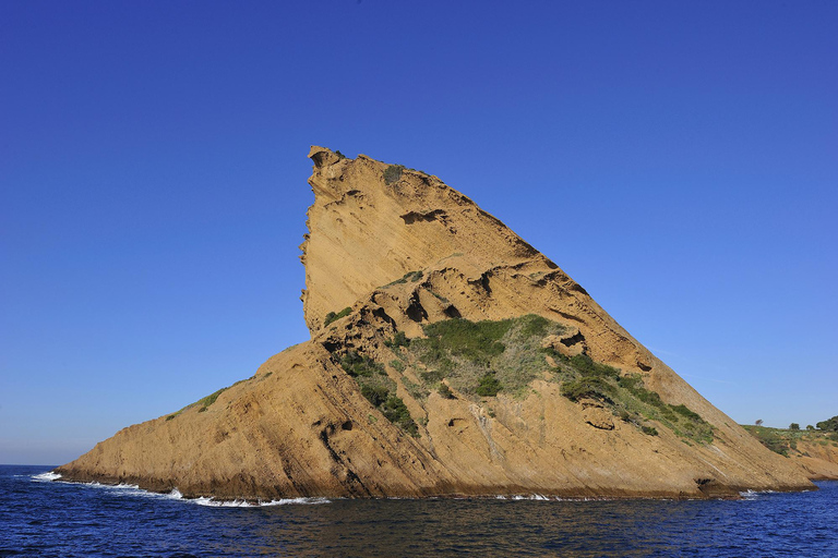 Sanary-sur-Mer: Tour of the Calanques of Cassis and Marseille 7 coves outing