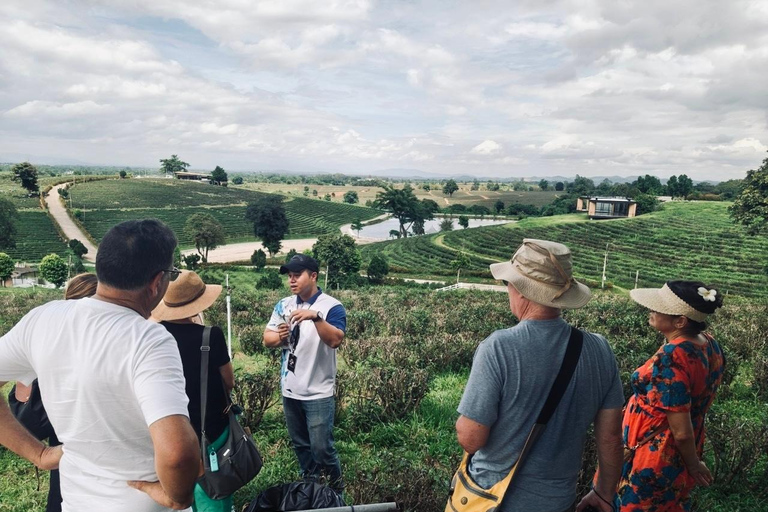 Chiang Rai: Top 7 Must-Visit Attractions – Private Tour