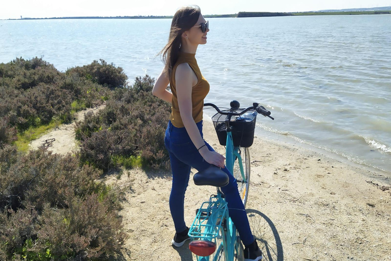Larnaca: Salt Lake & Cultural Highlights Guided Bike Tour