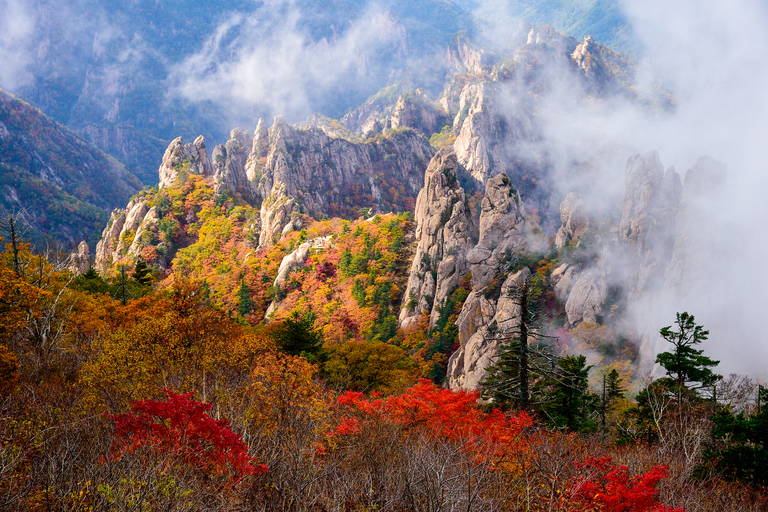 From Seoul: Mt Seorak Hike and Naksansa Temple/ Nami Island Naksansa Shared Tour, Meet at Hongik Uni. (Hongdae) Station