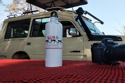 Arusha : safari de 3 jours à Tarangire, Ngorongoro et ManyaraArusha : Safari de 3 jours à Tarangire, Ngorongoro et Manyara