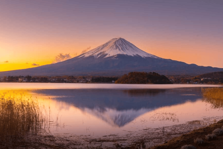 From Tokyo : Mount Fuji Private Tour With English Guide