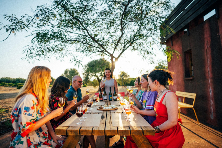 Dégustation de vins naturels grecs et accords : Goûtez le terroir