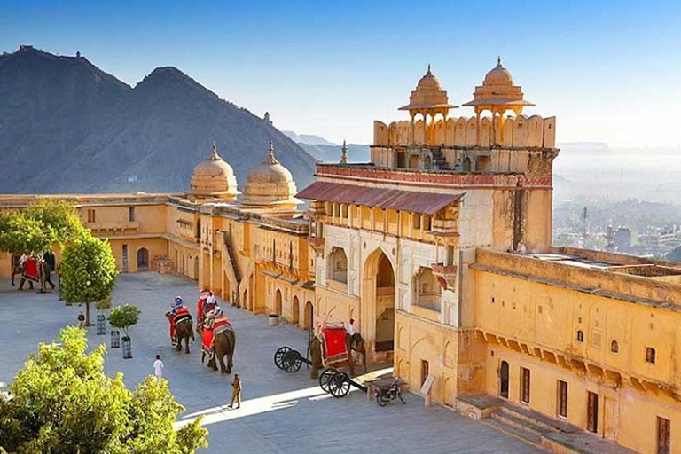 Amber Fort Hidden Stepwell & Heritage Village Walk with Chai