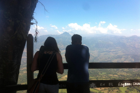 Medellin: Palmitas Coffee Tour