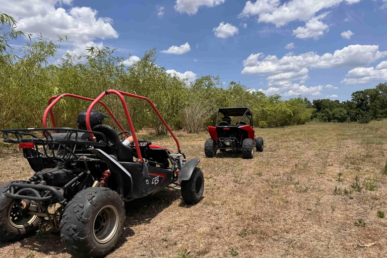Bamboo Dune Buggy Tour