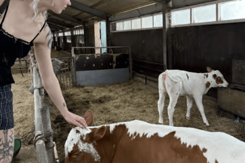 Amsterdam: E-Bike, Cheese, Windmill & Countryside Tour