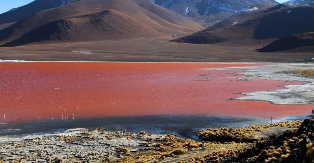 Galería de fotos para redes