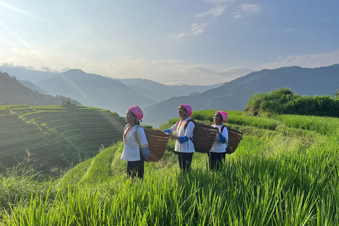 Guilin: Private Longji Rice Terraces & Reed Flute Cave Tour