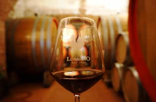 Siena: Chianti Classico Weingut-Tour & Cru-Weinprobe